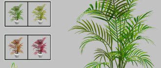 Комнатное растение Areca Palm для Симс 4 – фото
