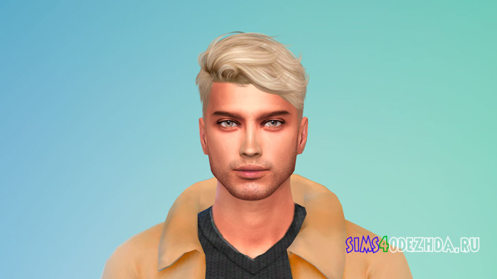 Прическа TZ1008 для Симс 4 – фото 2