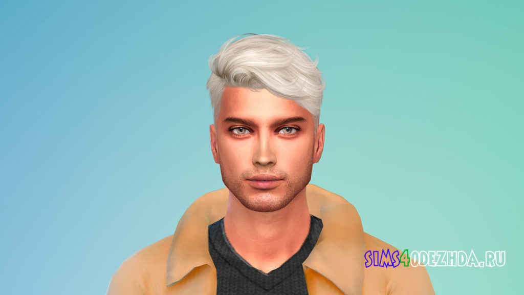 Прическа TZ1008 для Симс 4 – фото 3