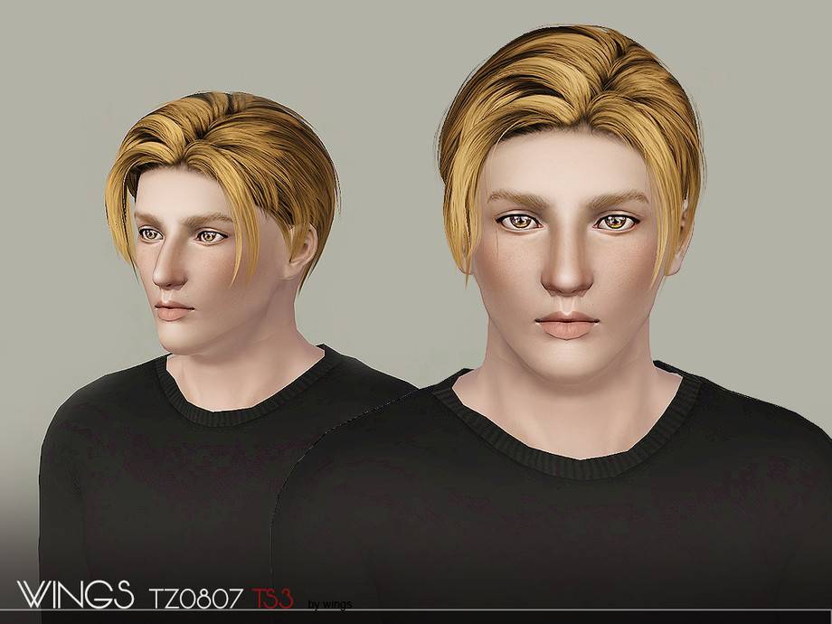 Мужская прическа WINGS-TZ0807 для Симс 3