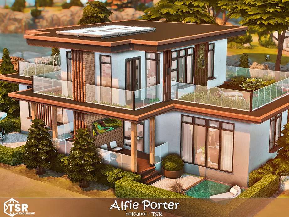 Alfie Porter No CC 1