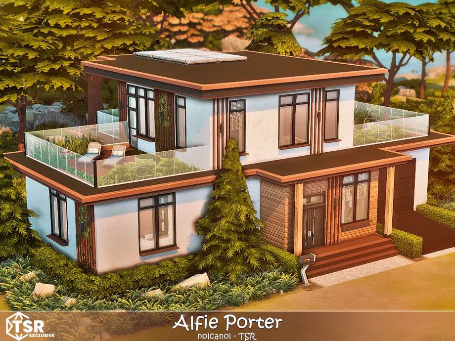 Alfie Porter No CC 2