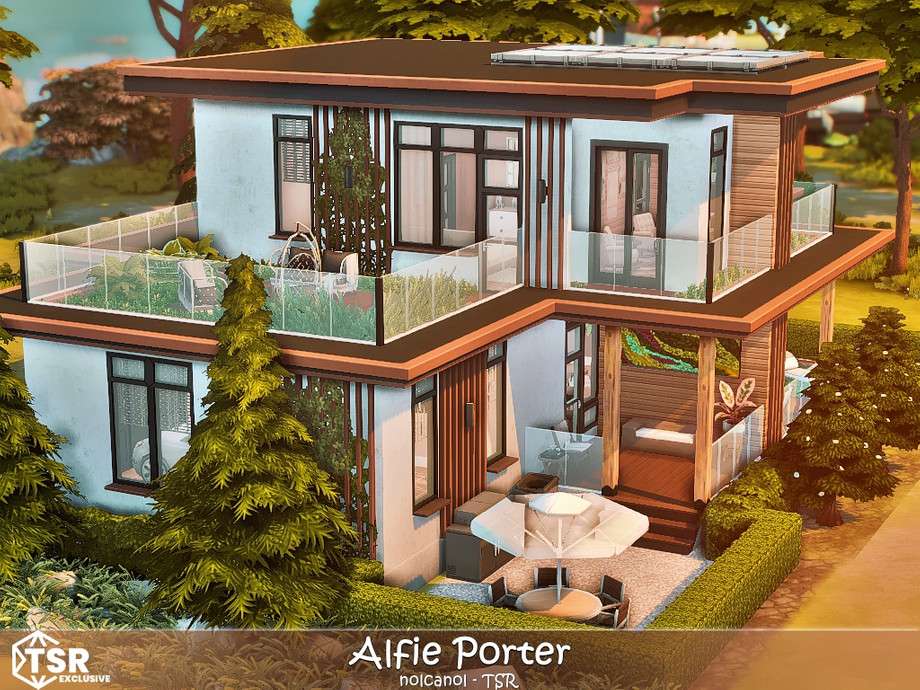 Alfie Porter No CC 3