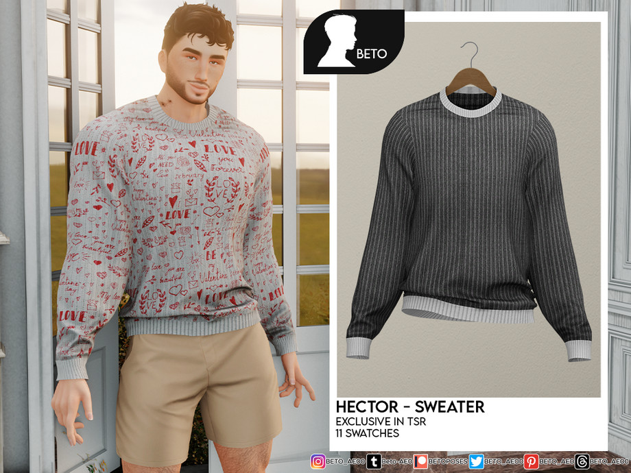 Hector (Sweater) 1