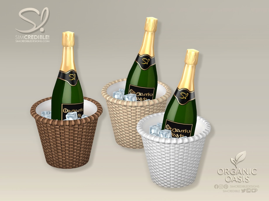 Organic Oasis Hotel Suite - Sparkling Wine Toast Bucket MY WEDDING STORIES 1