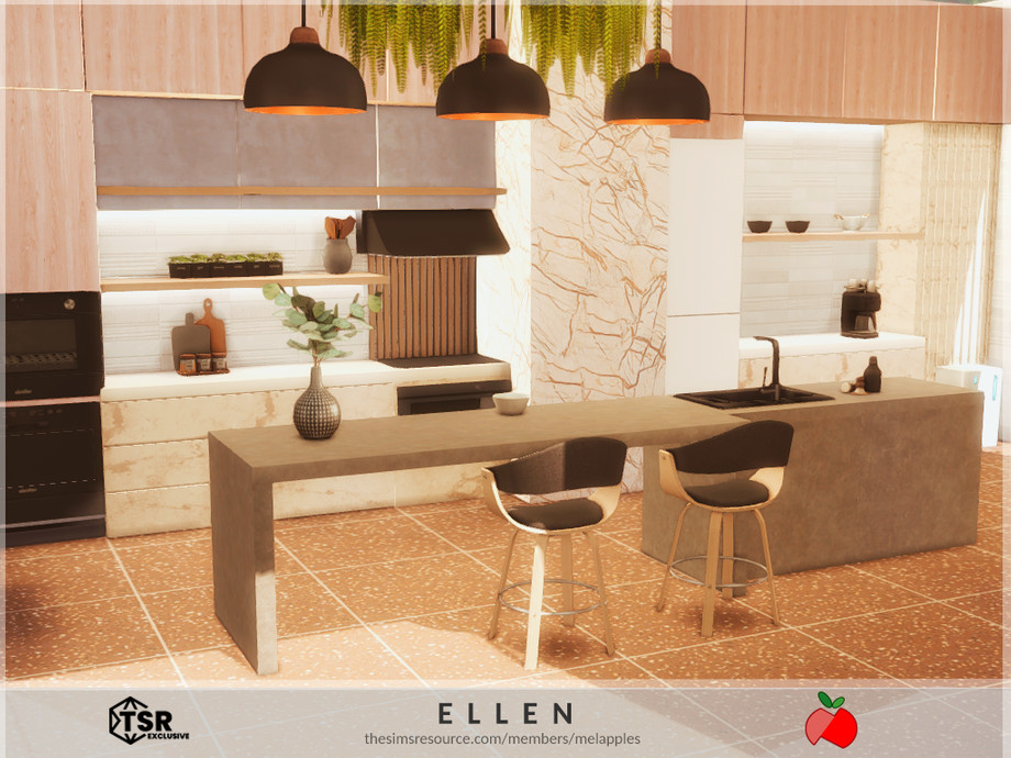 Ellen - kitchen 1