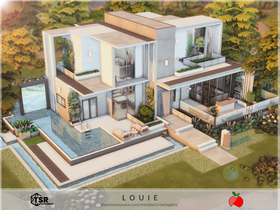 Louie - no cc 1