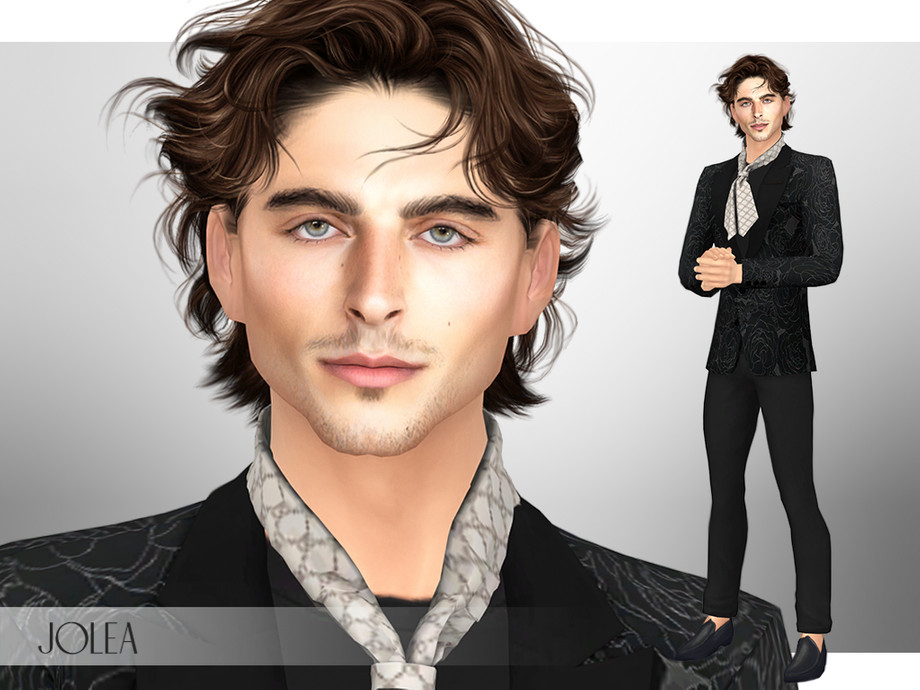 SIM inspired by Timothee Chalamet 1