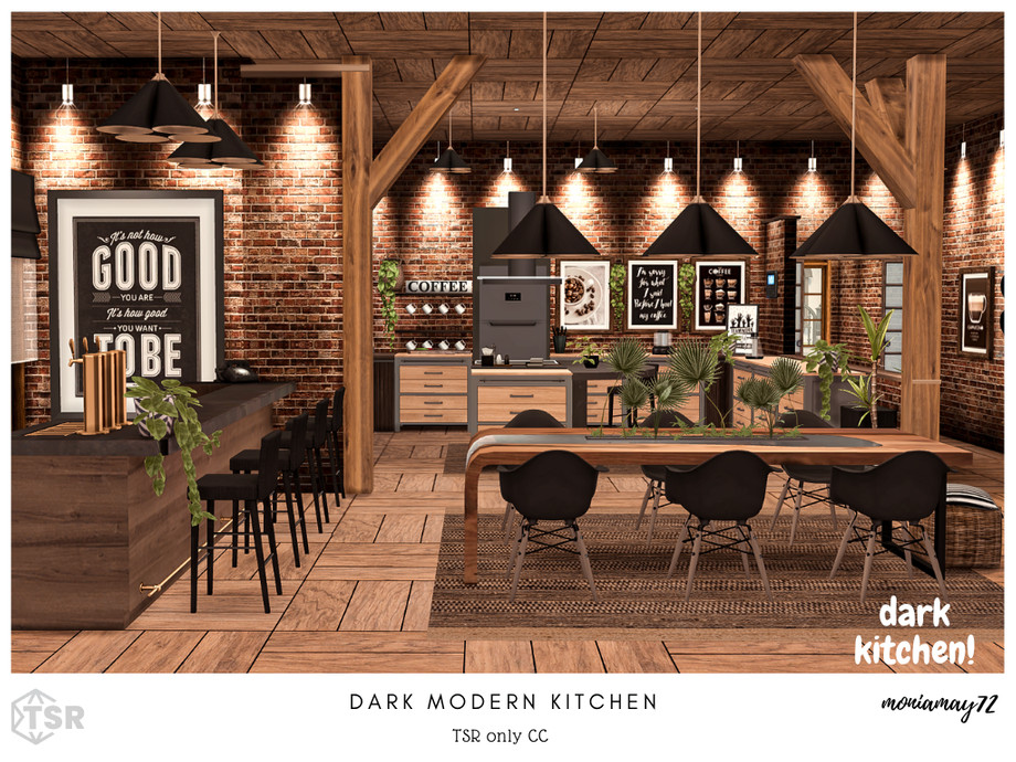 Dark Modern Kitchen 1