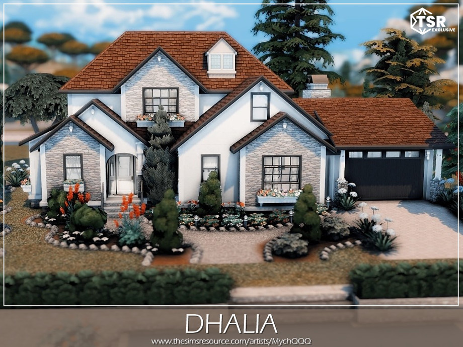 Dhalia 1