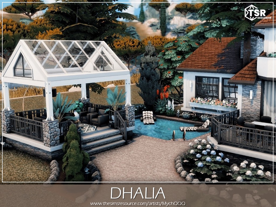 Dhalia 3