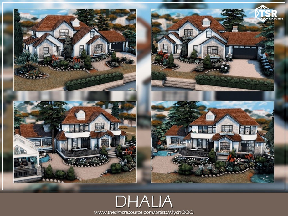 Dhalia 4